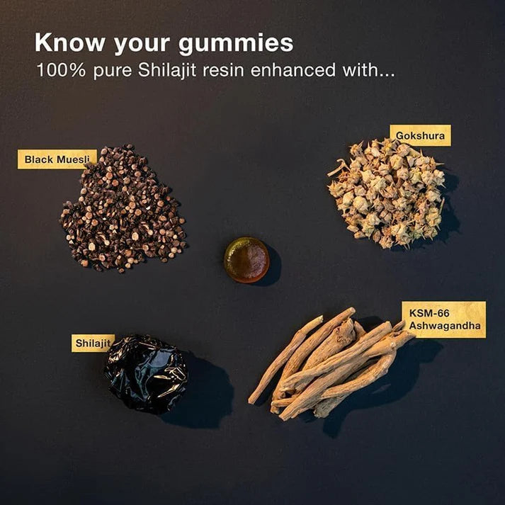 Himalayan Pure Shilajit Gummies | 60 Counts